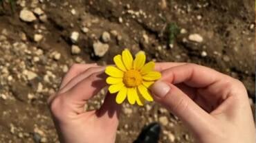 os signos que mais se envolvem em triângulos amorosos