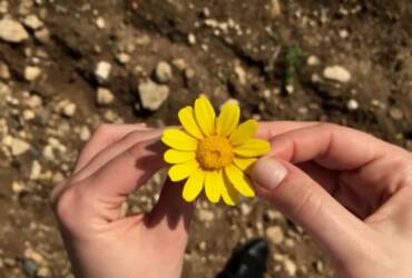os signos que mais se envolvem em triângulos amorosos