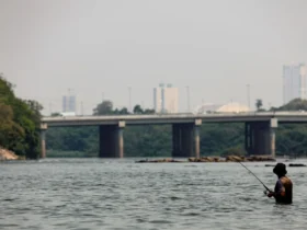 Repesca em Mato Grosso segue com inscrições até 25 de junho