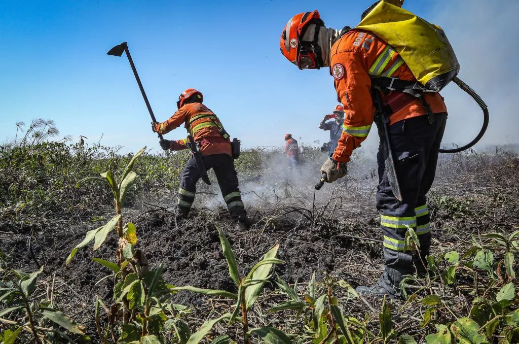 Bombeiros encerram inscrições para 150 vagas de brigadistas temporários neste sábado