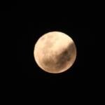 Saiba o que é a Lua de Morango, fenômeno que poderá ser observado nesta segunda-feira (29)