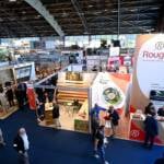 Madeira de Mato Grosso busca ampliar exportações em uma das maiores feiras do setor na Europa