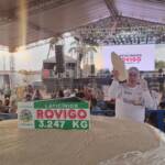 Curvelândia bate novo recorde nacional com queijo frescal de 3.247 kg