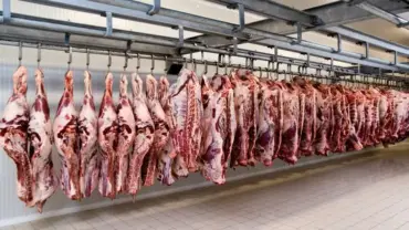 Mais de 10,2 milhões de animais foram abatidos entre janeiro e março, maior volume da série histórica para o período