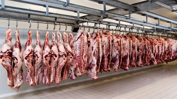 Mais de 10,2 milhões de animais foram abatidos entre janeiro e março, maior volume da série histórica para o período