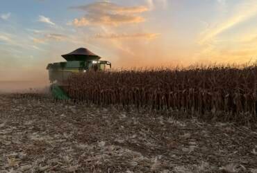 Mato Grosso acelera colheita do milho, mas alta dos custos em 14% exige cautela para a próxima safra, diz Imea