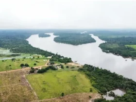Mato Grosso e do Pará
