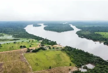 Mato Grosso e do Pará