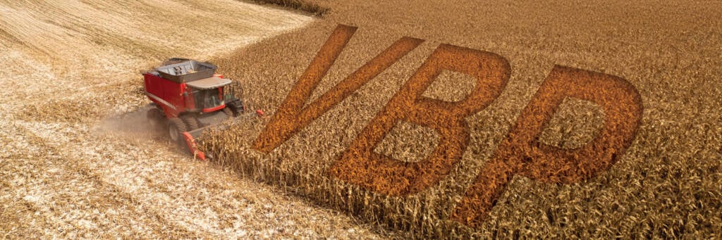 Mato Grosso lidera VBP agropecuário, mas cenário de endividamento e custos pressiona rentabilidade no campo