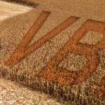 Mato Grosso lidera VBP agropecuário, mas cenário de endividamento e custos pressiona rentabilidade no campo