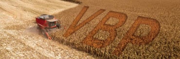 Mato Grosso lidera VBP agropecuário, mas cenário de endividamento e custos pressiona rentabilidade no campo