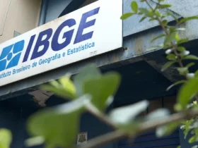 Meu Parceiro, Meu Brasil, Nosso IBGE