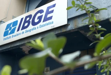 Meu Parceiro, Meu Brasil, Nosso IBGE