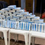 Forças de segurança apreendem 83 kg de skunk ocultos em carga de algodão na fronteira em Cáceres