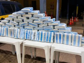 Apreensão de skunk em Cáceres causa prejuízo de R$ 1,2 milhão