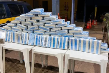 Apreensão de skunk em Cáceres causa prejuízo de R$ 1,2 milhão