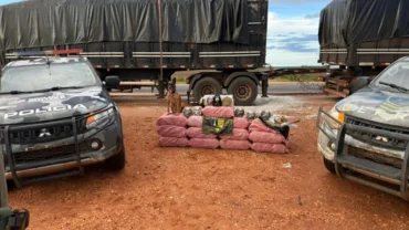 Viaturas do Gefron cercando pilha de drogas
