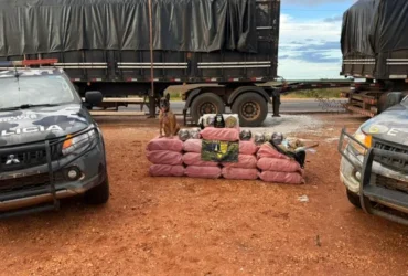Viaturas do Gefron cercando pilha de drogas
