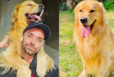 Pedido da Gol é negado e ação da Defensoria sobre morte de cão durante voo é mantida pela Justiça