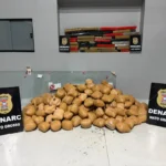 Polícia Civil invade ‘casa-depósito’ vazia no feriado e apreende mais de 150 quilos de maconha em Cuiabá