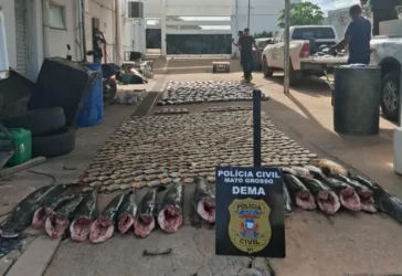 Pescado irregular: operação apreende 911 kg e prende três em Cuiabá