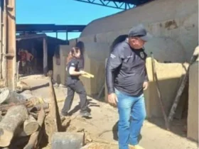 Meia tonelada de maconha é incinerada em Porto Alegre do Norte