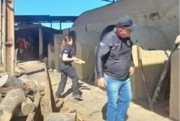 Meia tonelada de maconha é incinerada em Porto Alegre do Norte