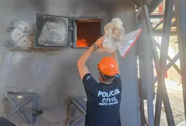 Incineração de três toneladas de drogas