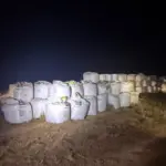 Polícia Civil recupera 273 toneladas de defensivos agrícolas avaliados em R$ 1,3 milhão em Pontes e Lacerda