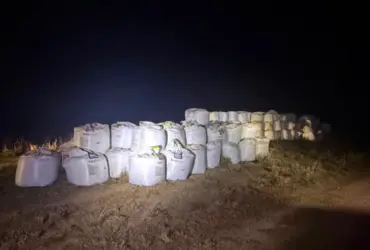 Recuperação de defensivos agrícolas furtados soma 273 toneladas em Pontes e Lacerda
