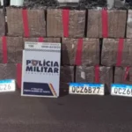 Ação conjunta apreende 550 kg de maconha na BR-158 e prende dois batedores em Mato Grosso