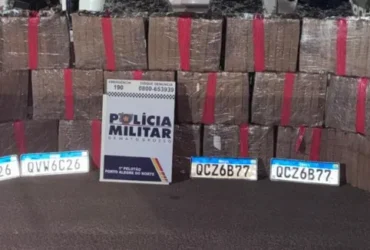 550 quilos de maconha são apreendidos em Porto Alegre do Norte