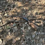 Suspeito de estuprar e matar mulher em Poxoréu morre em confronto com o Bope na zona rural
