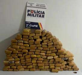 Operação resulta em apreensão de 152 tabletes de maconha em MT