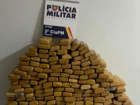 Operação resulta em apreensão de 152 tabletes de maconha em MT