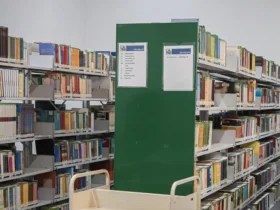Pontão de Cultura Flor do Mato abre oficina gratuita em Tangará