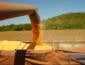 Preço do milho recua nos últimos cinco anos, enquanto custos de produção avançam e pressionam rentabilidade do produtor