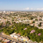 Cuiabá celebra Dia Mundial do Meio Ambiente com ações contra o descarte irregular de entulho e anuncia novo sistema digital