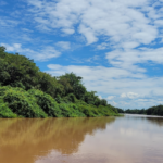 Nova petição no STF questiona eficácia do Cota Zero e pede retomada do julgamento em Mato Grosso