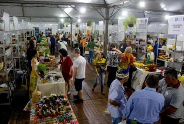 Agricultura familiar na FIT Pantanal 2026 mira novos mercados em MT