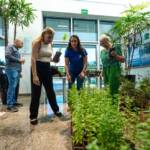 Semana do Meio Ambiente inicia com distribuição de mudas na Prefeitura de Lucas do Rio Verde