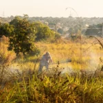 Rondonópolis se prepara para previsão de seca extrema e altas temperaturas do Super El Niño