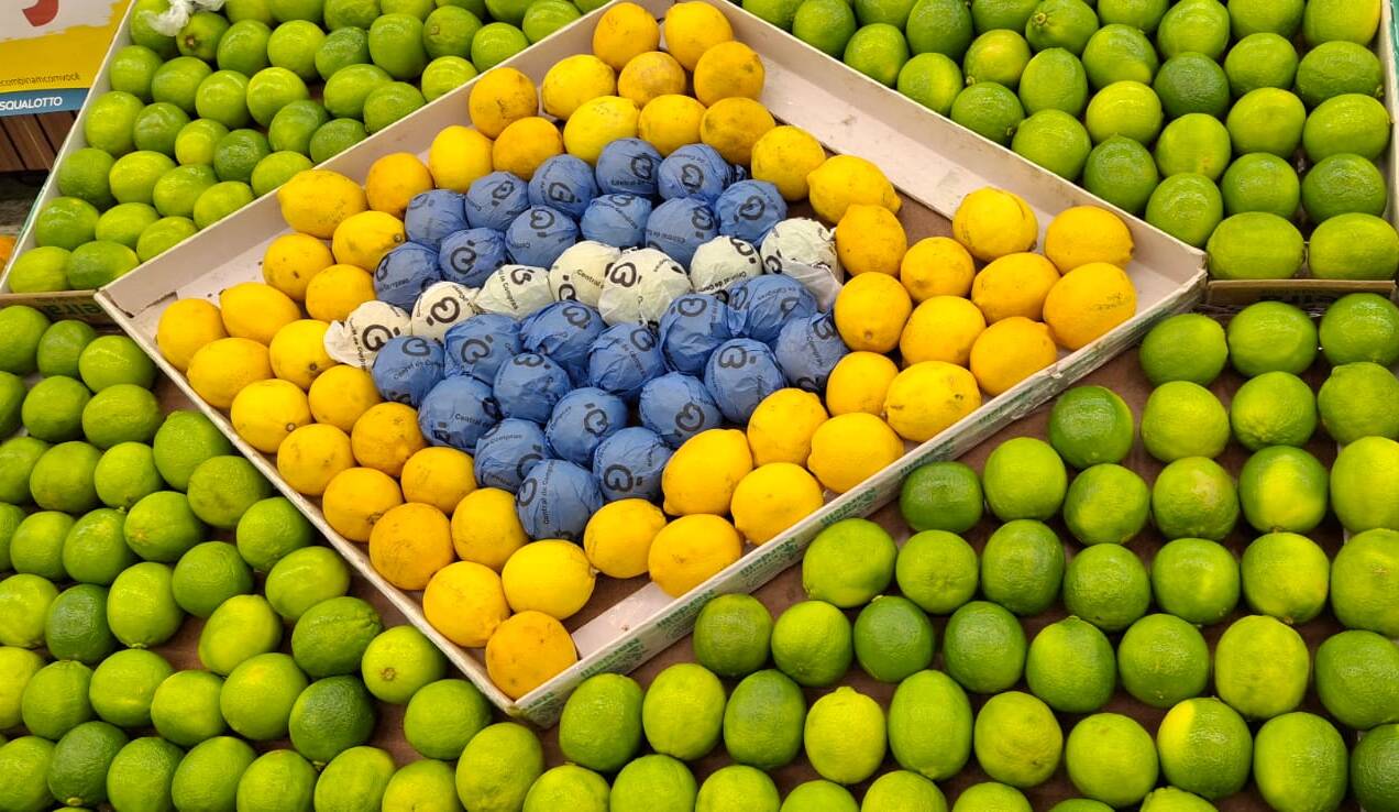 Verde e amarelo tomam conta das vitrines e reforçam clima de torcida para a estreia do Brasil (2)