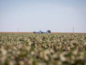 Queda das commodities e alta das dívidas colocam produtores rurais à prova no Centro-Oeste