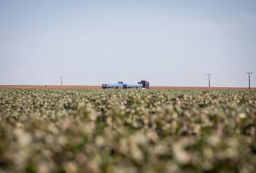 Queda das commodities e alta das dívidas colocam produtores rurais à prova no Centro-Oeste