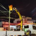 Ouriço-cacheiro é resgatado de poste de rede elétrica em operação noturna em Lucas do Rio Verde