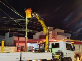 Ouriço-cacheiro é resgatado de poste de rede elétrica em operação noturna em Lucas do Rio Verde