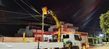 Ouriço-cacheiro é resgatado de poste de rede elétrica em operação noturna em Lucas do Rio Verde