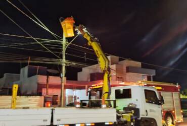 Ouriço-cacheiro é resgatado de poste de rede elétrica em operação noturna em Lucas do Rio Verde
