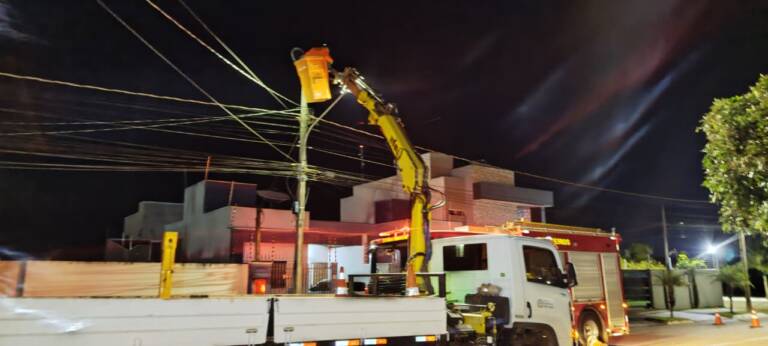 Ouriço-cacheiro é resgatado de poste de rede elétrica em operação noturna em Lucas do Rio Verde